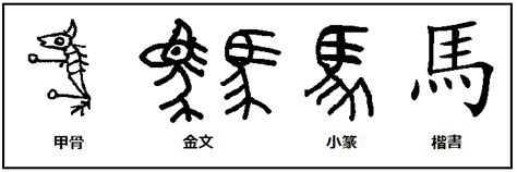 馬名字|馬の由来、語源、分布